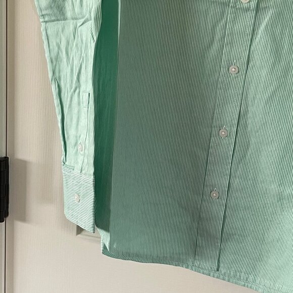 New Everlane Womens Mint Green Pinstripe Oversized Button Down Blouse Size 12 - Picture 3 of 11